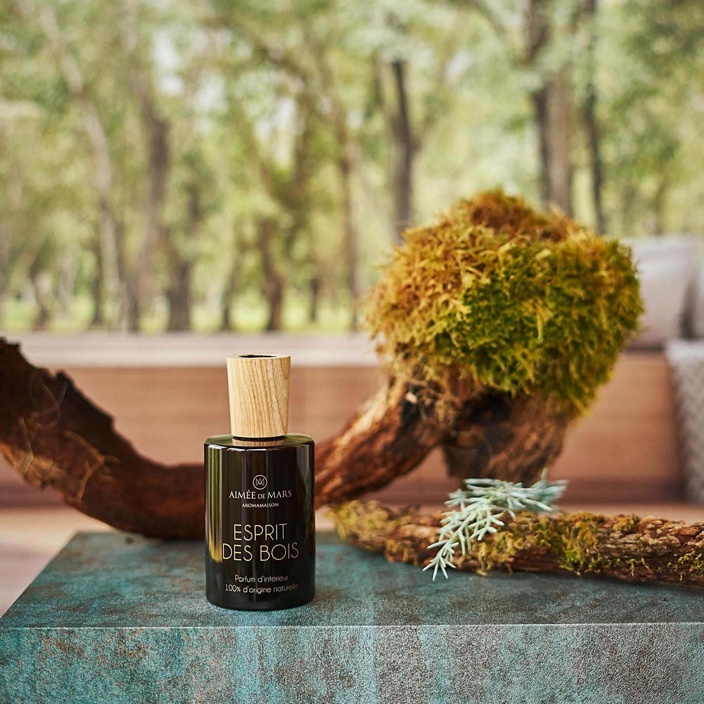 Spray Parfum d'Ambiance Esprit des Bois